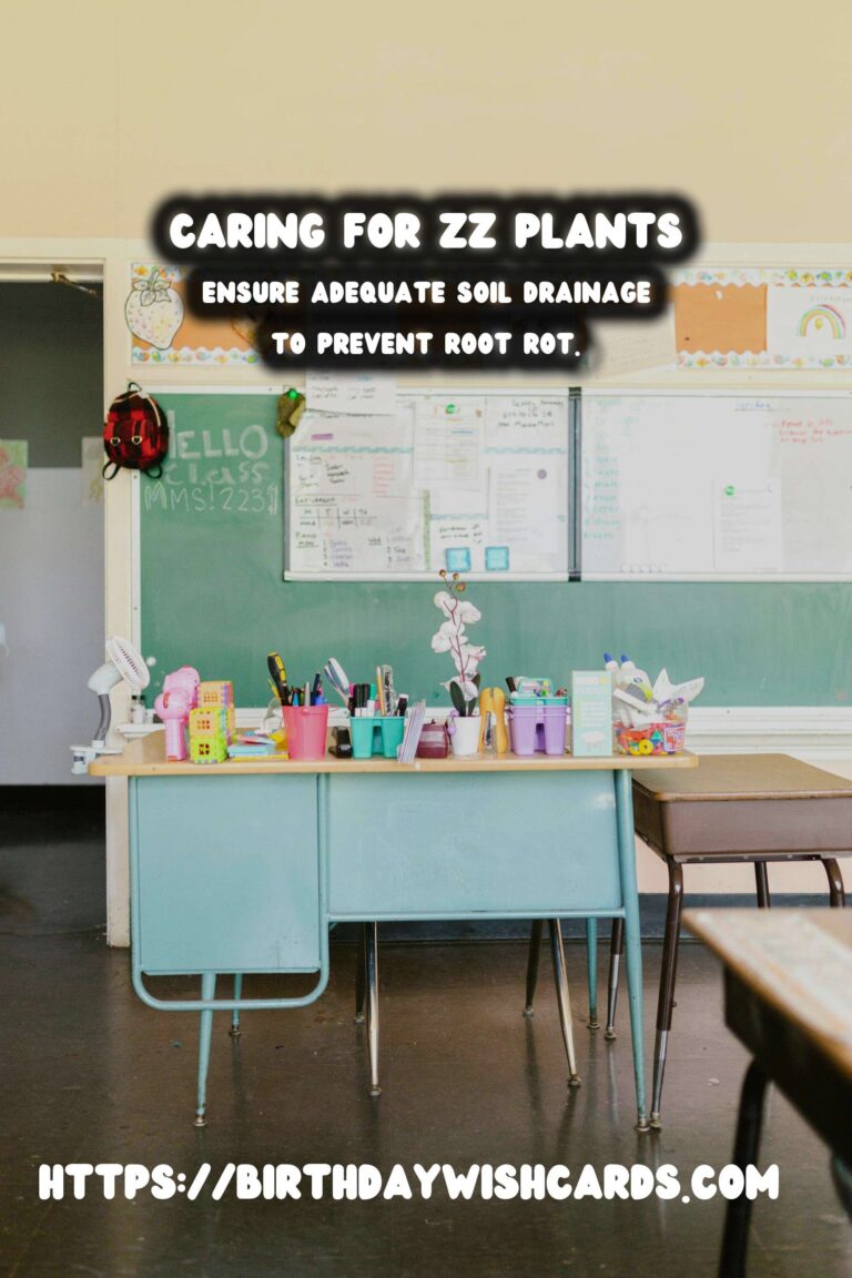 Caring for ZZ Plants: When to Water Less