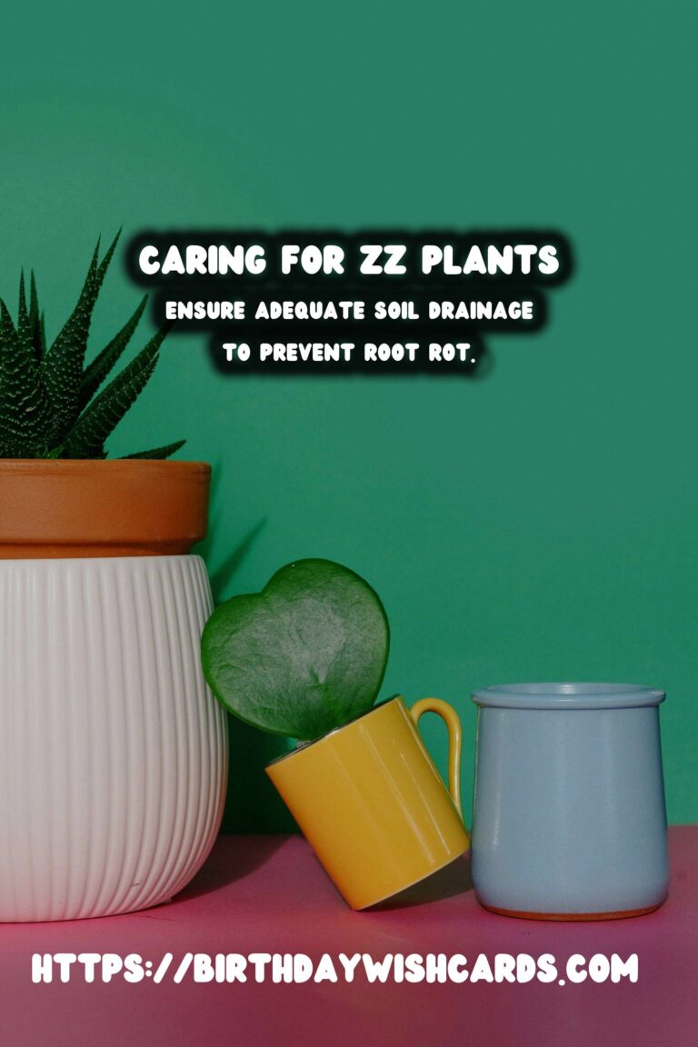 Caring for ZZ Plants: When to Water Less