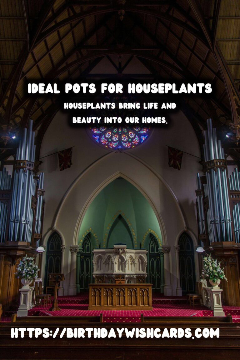 Choosing the Right Pot for Your Houseplants