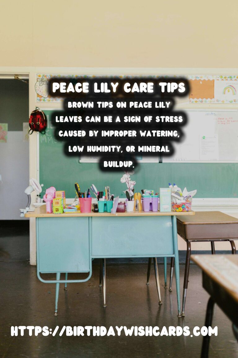 Comprehensive Care Guide for Peace Lilies: Addressing Brown Tips