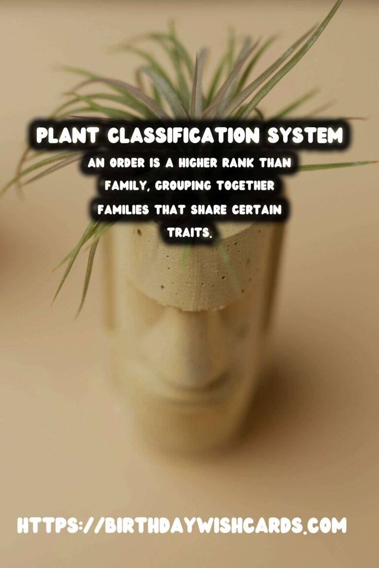 Comprehensive Guide to Understanding Plant Classification: Family & Order