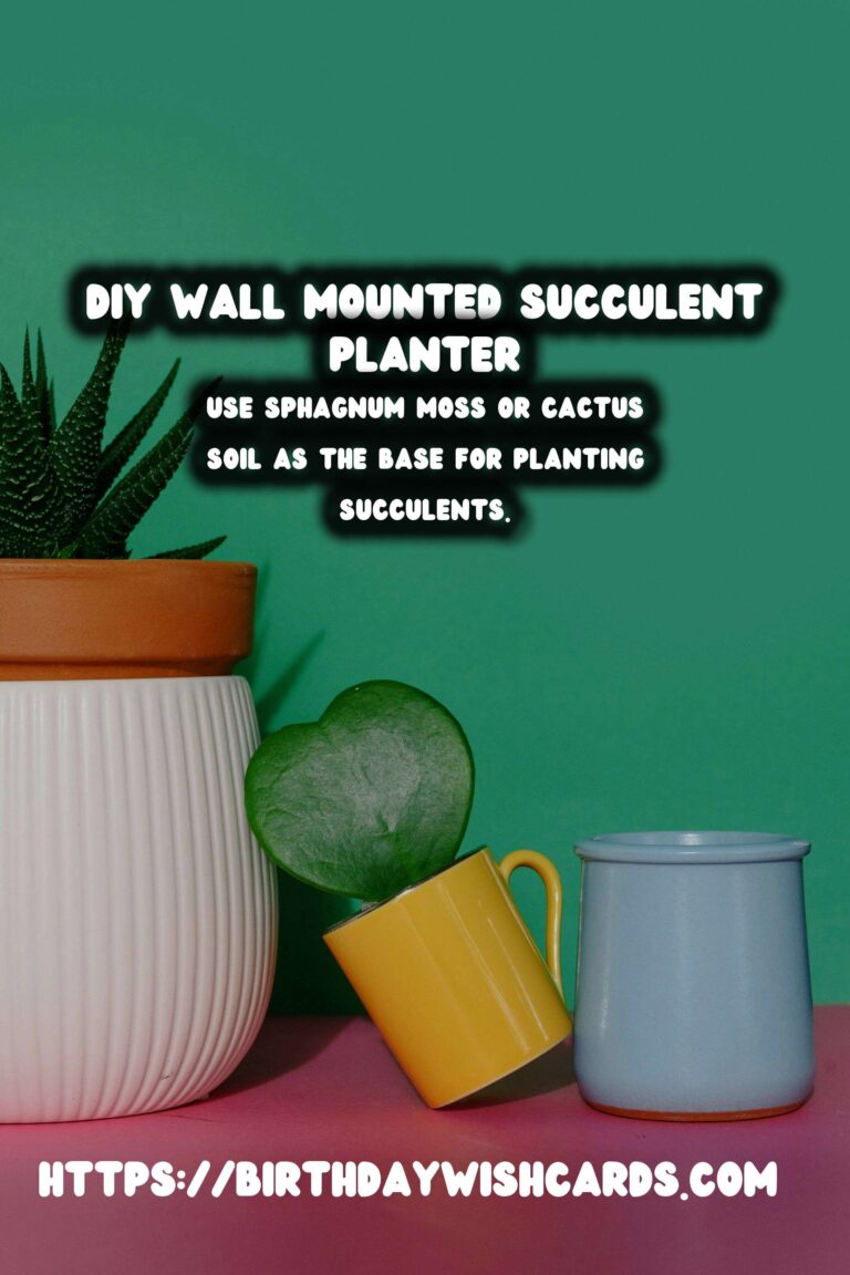 Create a Stunning DIY Wall Mounted Succulent Planter
