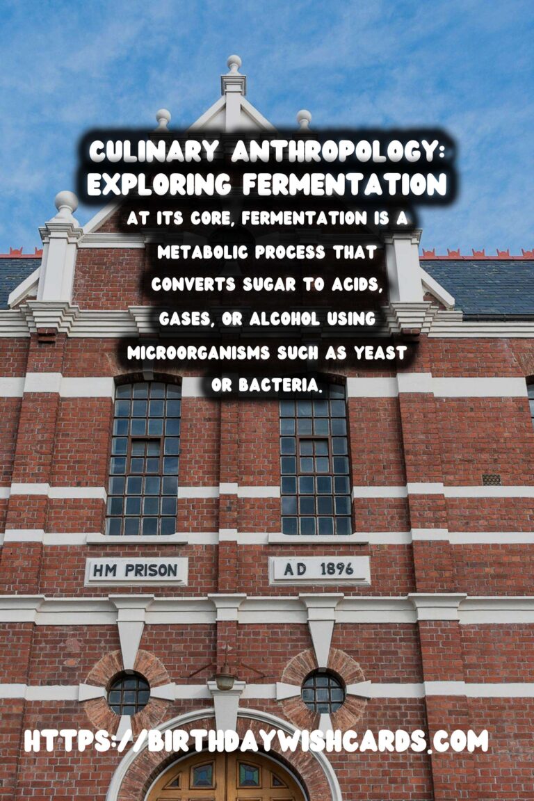 Culinary Anthropology: The History of Fermentation