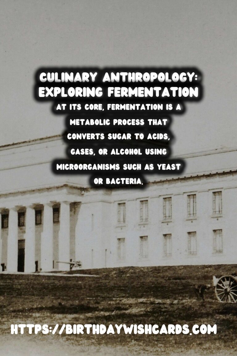Culinary Anthropology: The History of Fermentation
