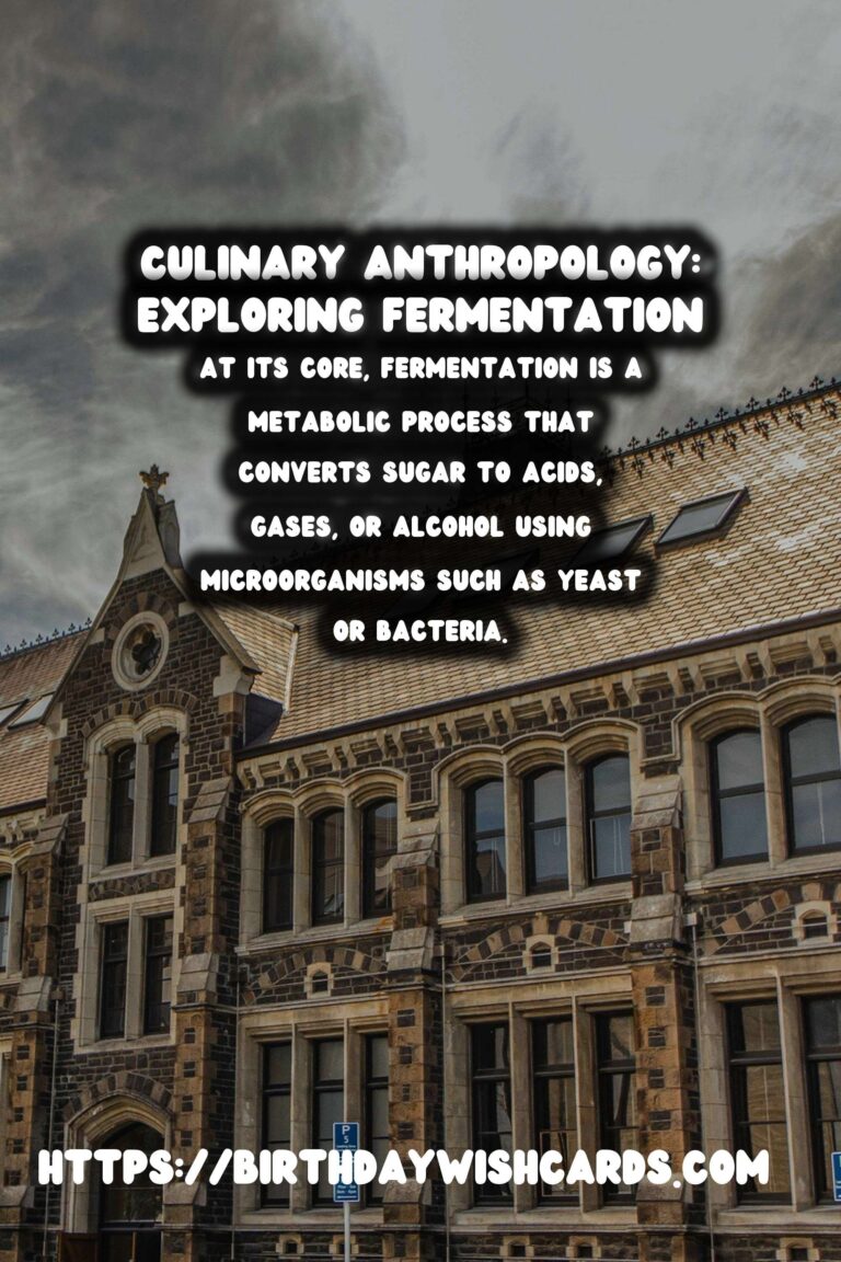 Culinary Anthropology: The History of Fermentation