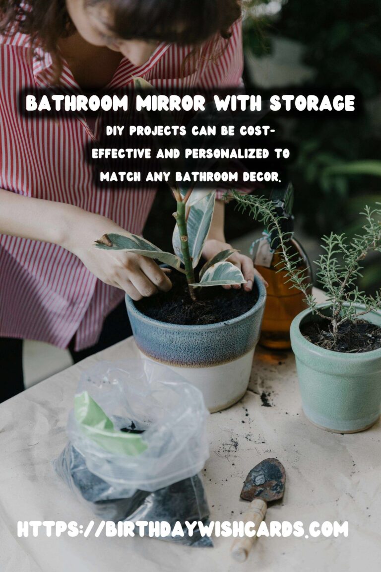 DIY Bathroom Mirror with Storage: Maximize Space and Style