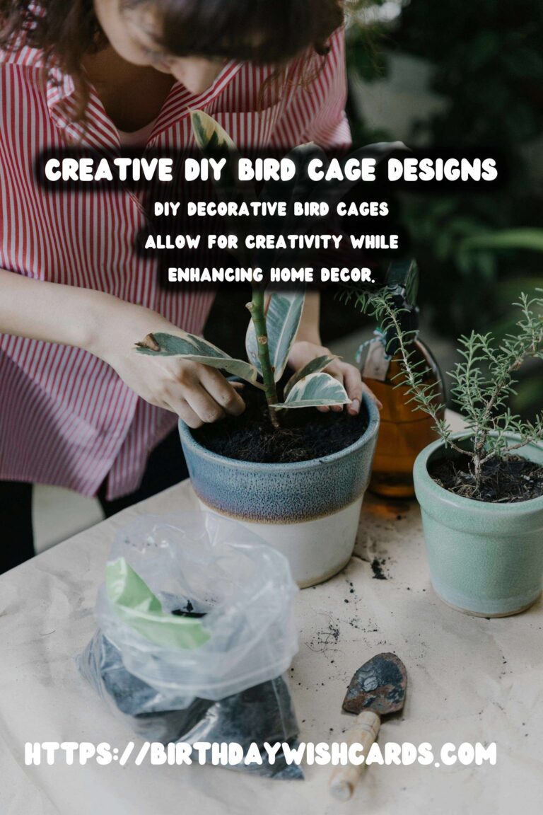 DIY Decorative Bird Cages: Transform Your Space with Creative Designs