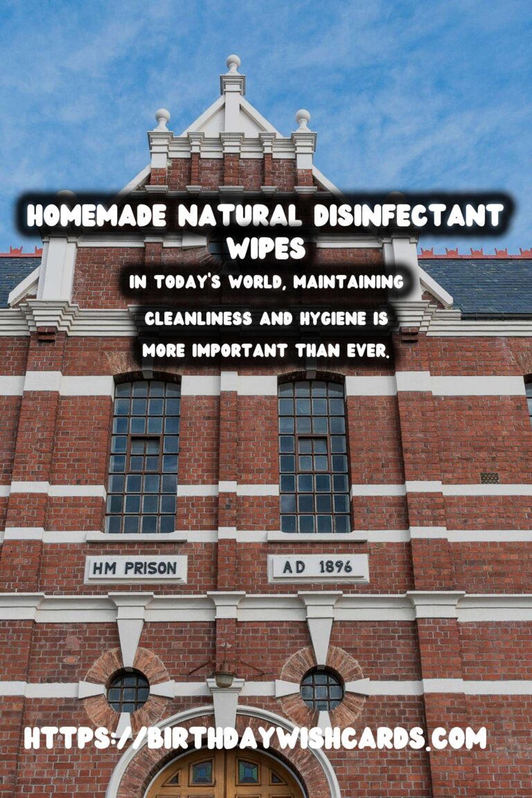 DIY Guide to Making Homemade Natural Disinfectant Wipes
