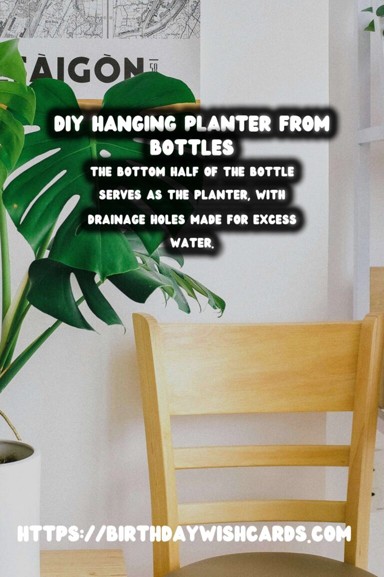 DIY Hanging Planter from Upcycled Bottles: A Step-by-Step Guide