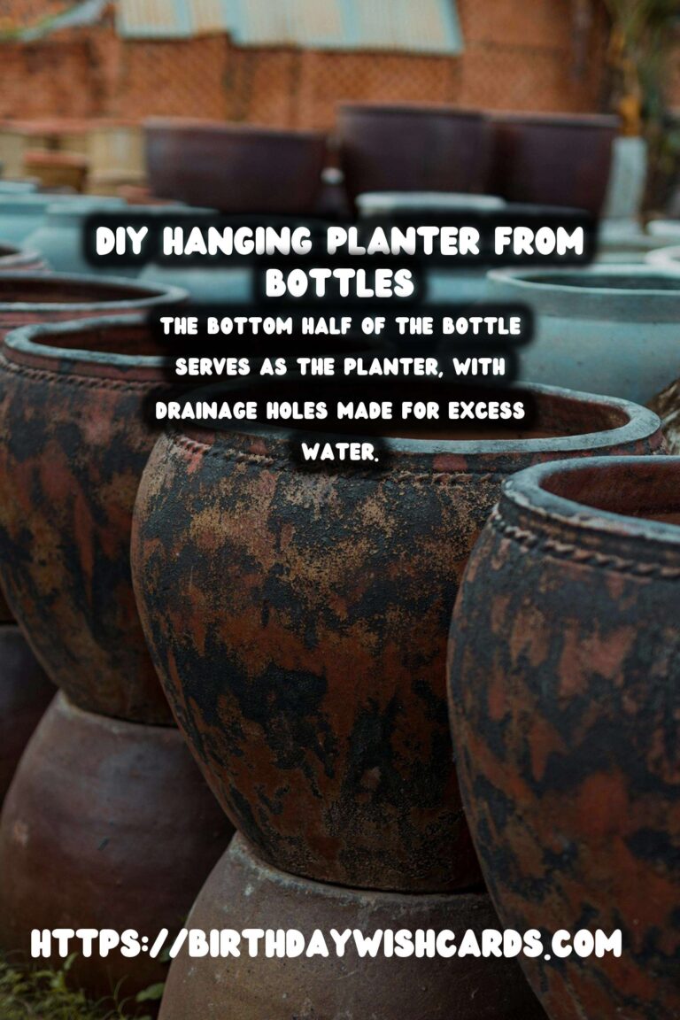 DIY Hanging Planter from Upcycled Bottles: A Step-by-Step Guide