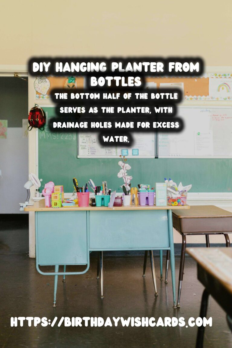 DIY Hanging Planter from Upcycled Bottles: A Step-by-Step Guide