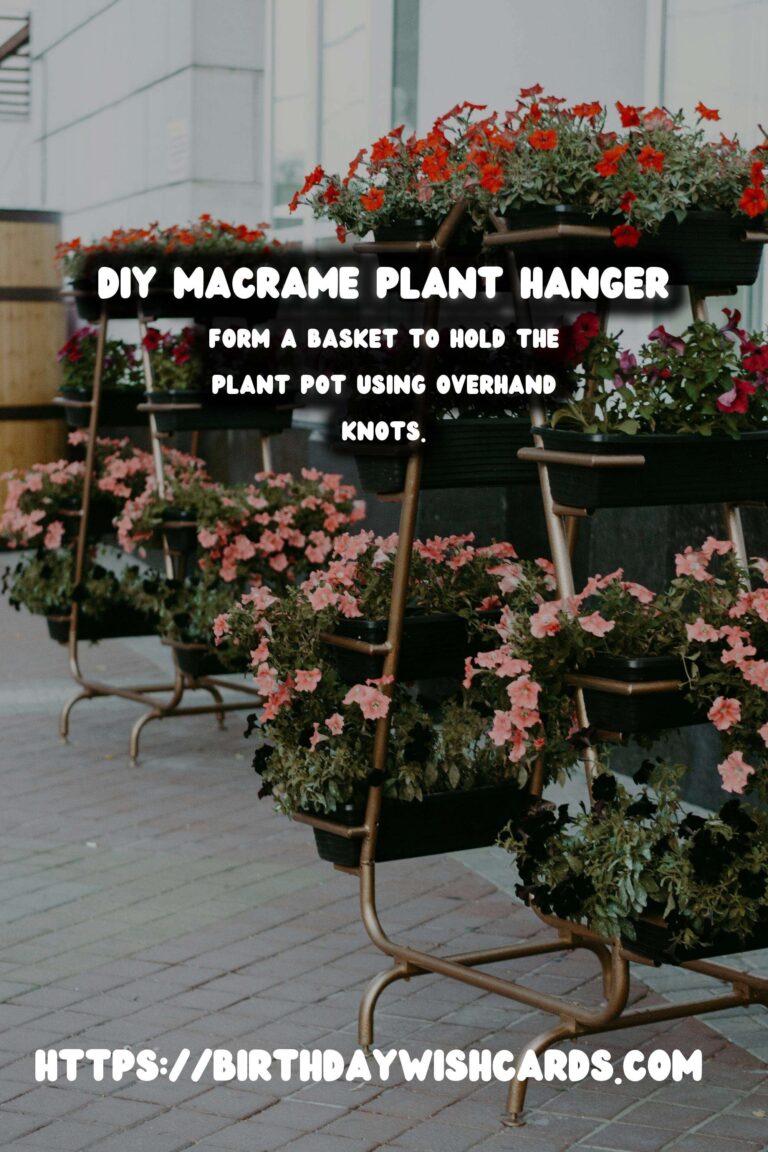 DIY Macrame Plant Hanger for Wall: A Step-by-Step Guide