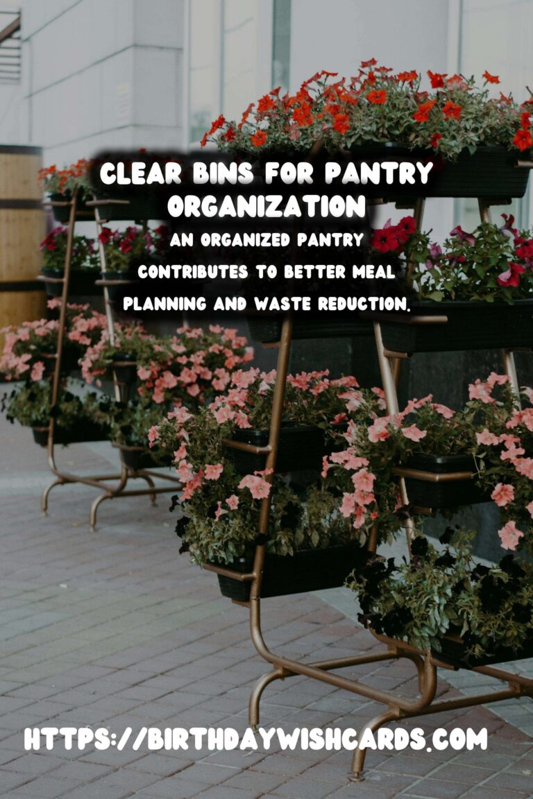 DIY Pantry Organization Ideas: Clear Bins for a Tidy Kitchen