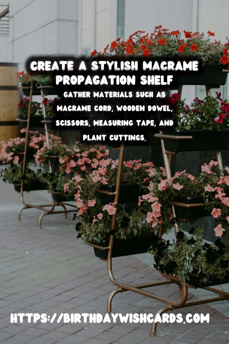 DIY Plant Propagation Shelf: Macrame Techniques for a Stylish Display