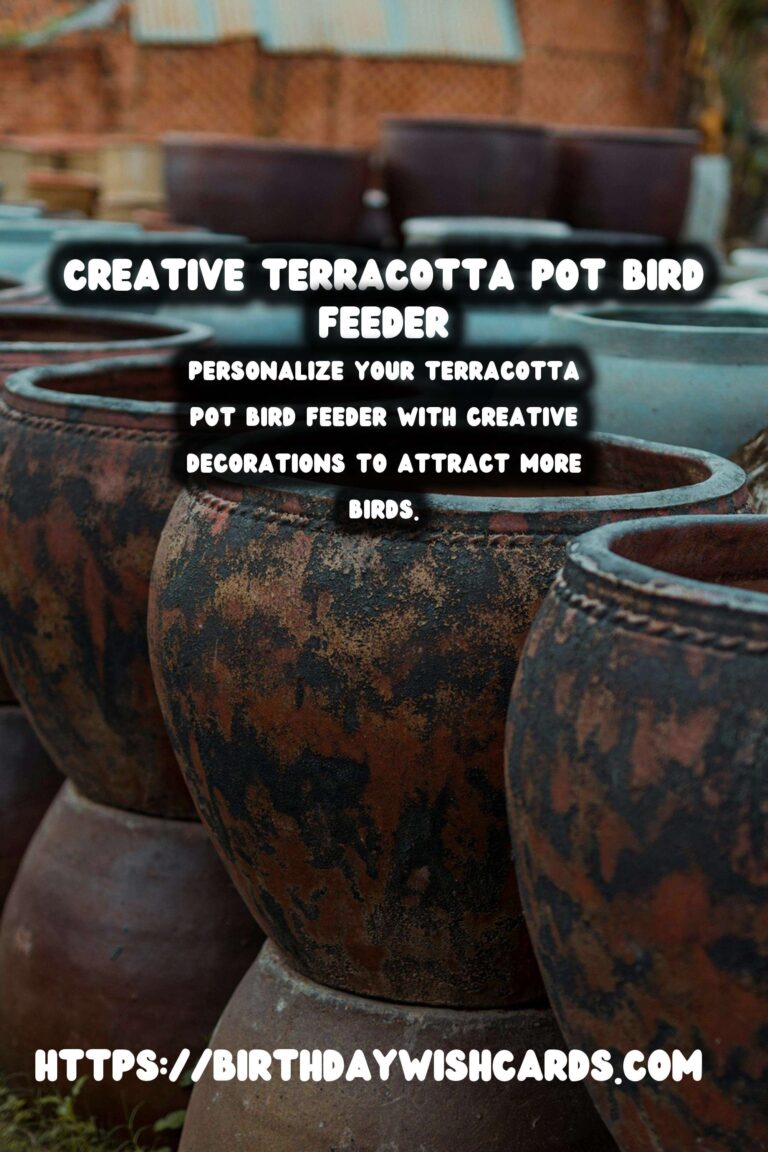 DIY Terracotta Pot Bird Feeders: A Creative Guide