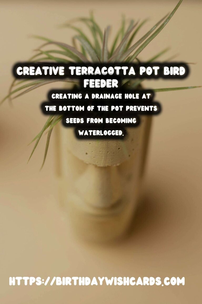DIY Terracotta Pot Bird Feeders: A Creative Guide
