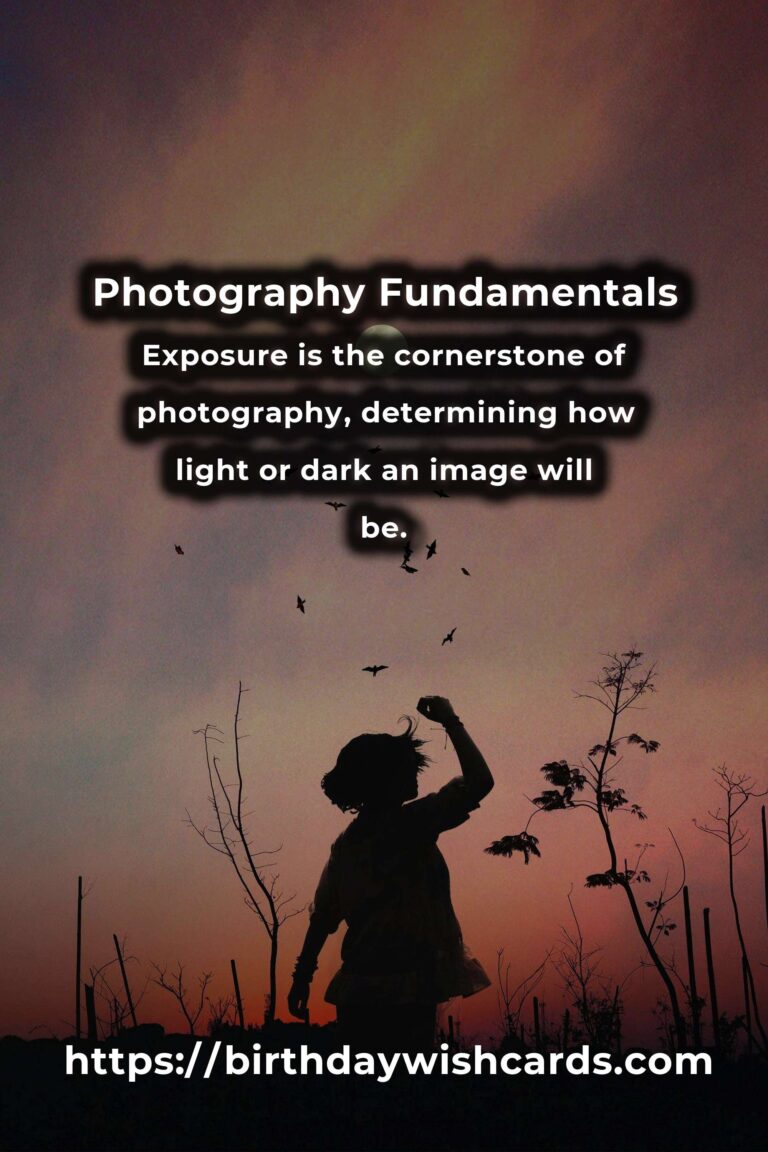 Demystifying Photography Fundamentals: Essential Ideas for Beginners