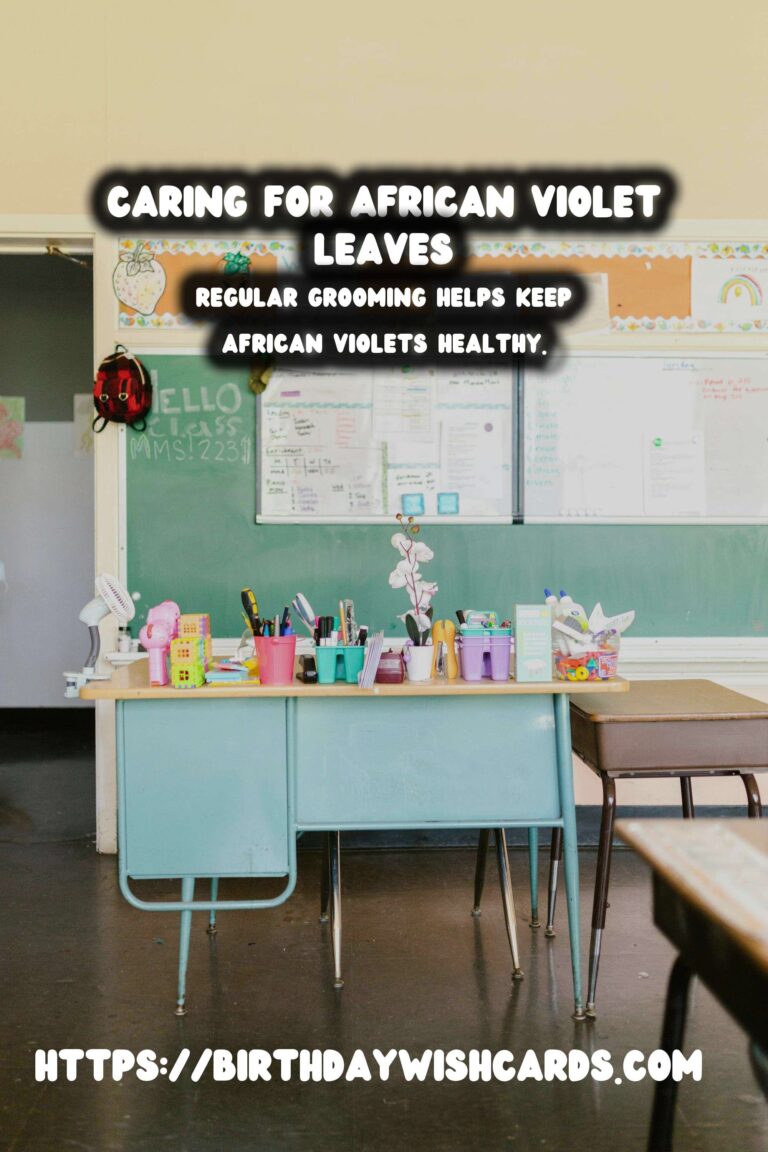 Easy Care Guide for African Violets: Leaf Care