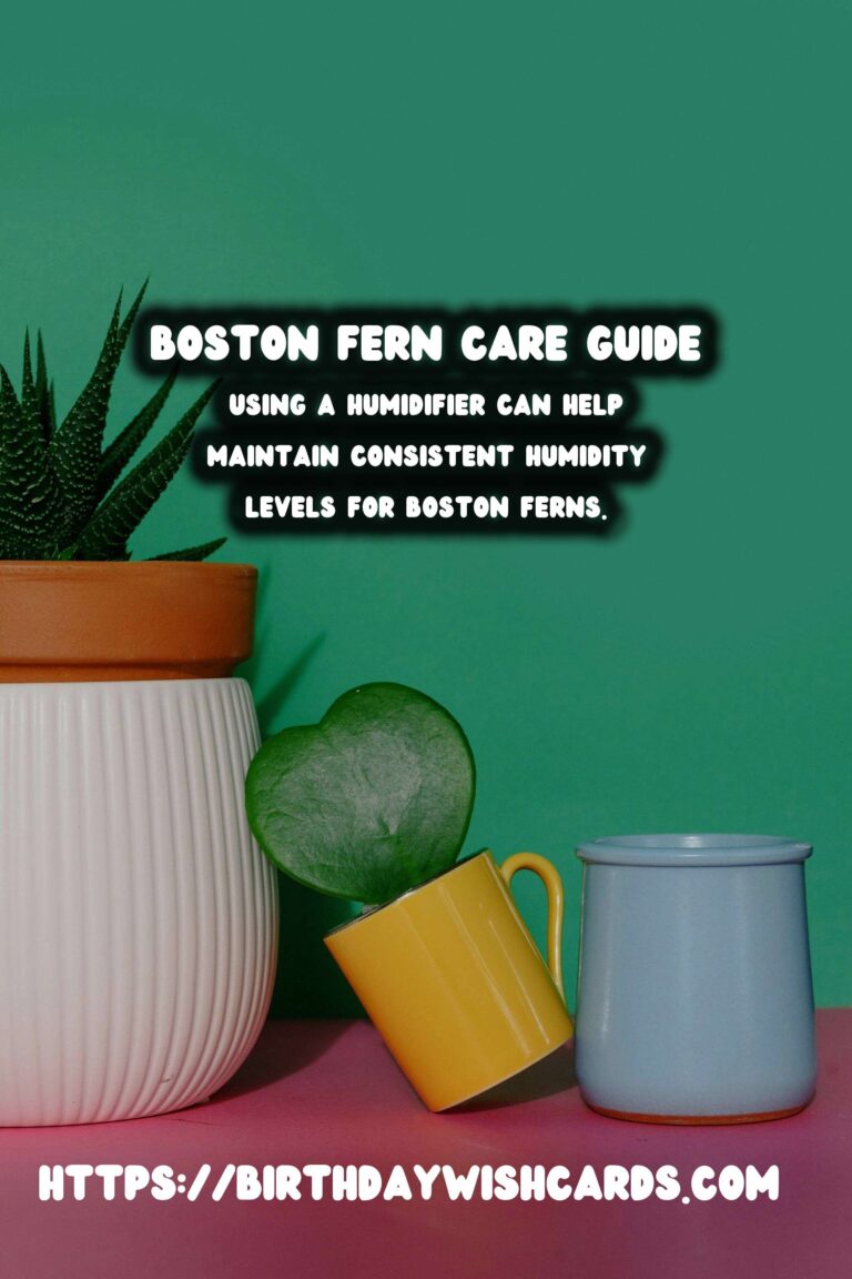 Easy Care Guide for Boston Ferns: Humidity Tips for Thriving Plants