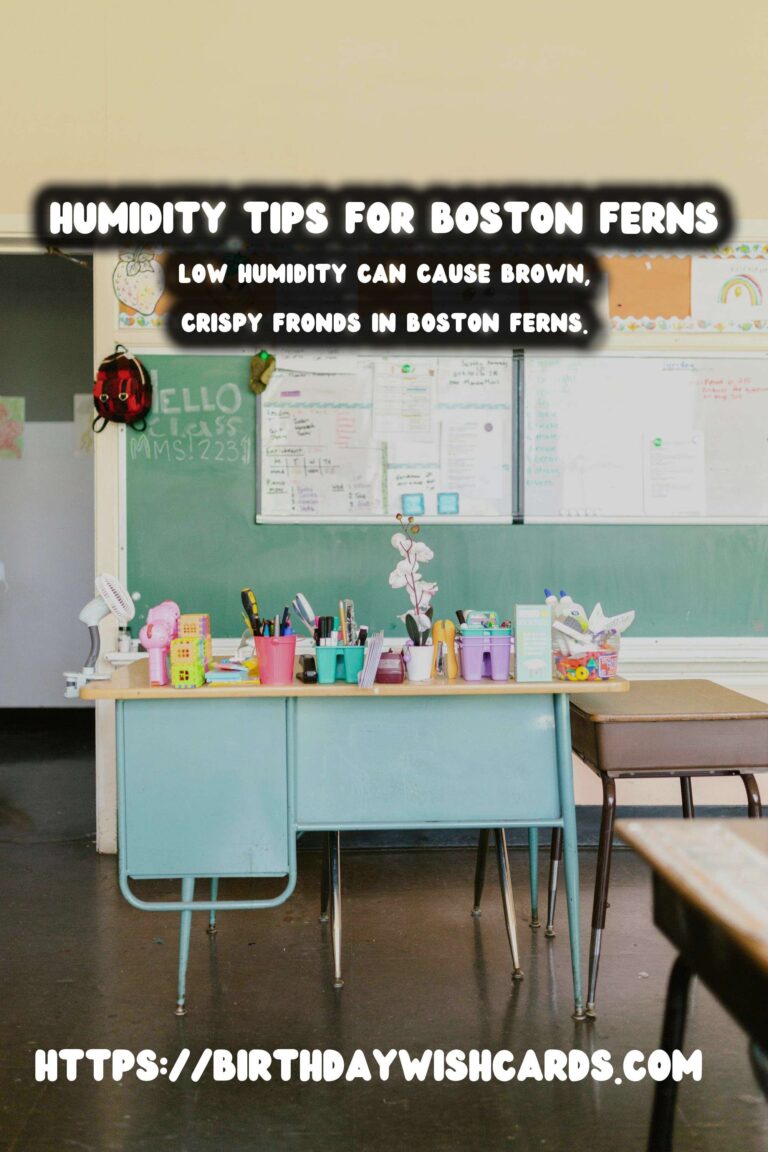 Easy Care Guide for Boston Ferns: Mastering Humidity Control