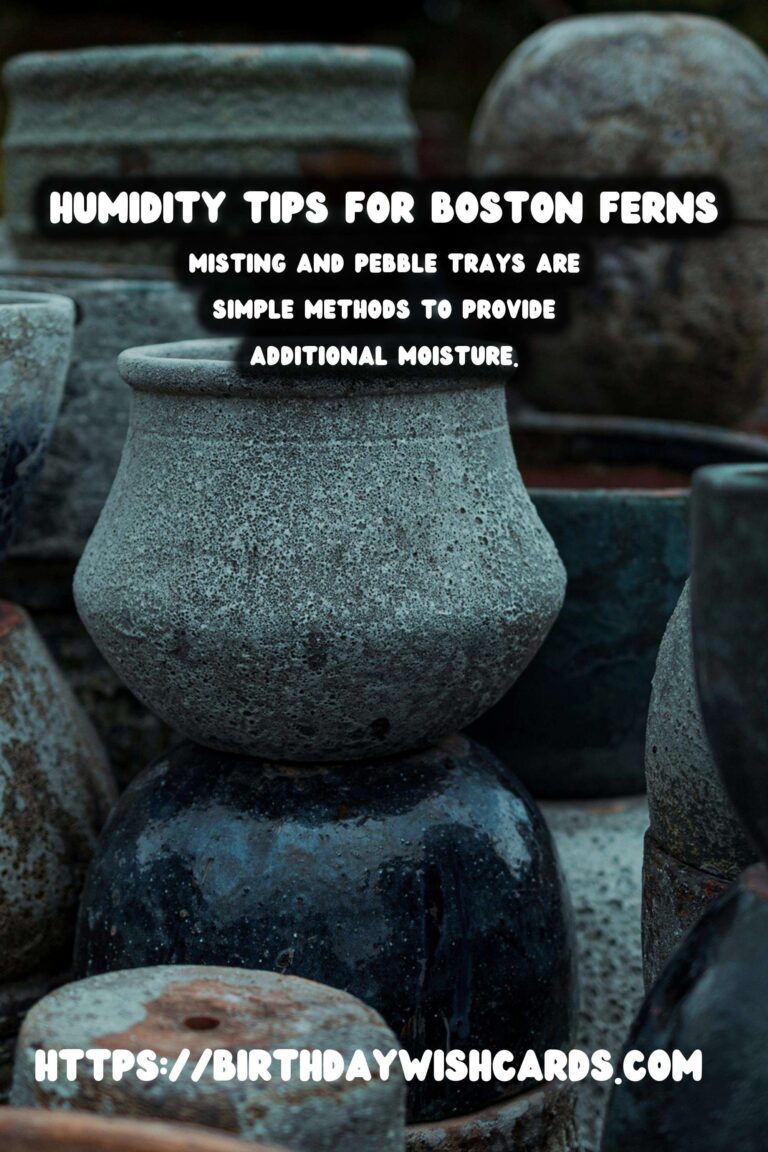 Easy Care Guide for Boston Ferns: Mastering Humidity Control