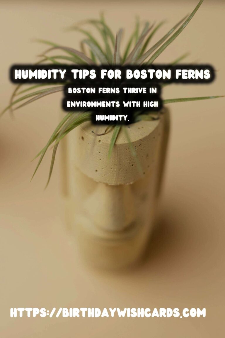 Easy Care Guide for Boston Ferns: Mastering Humidity Control