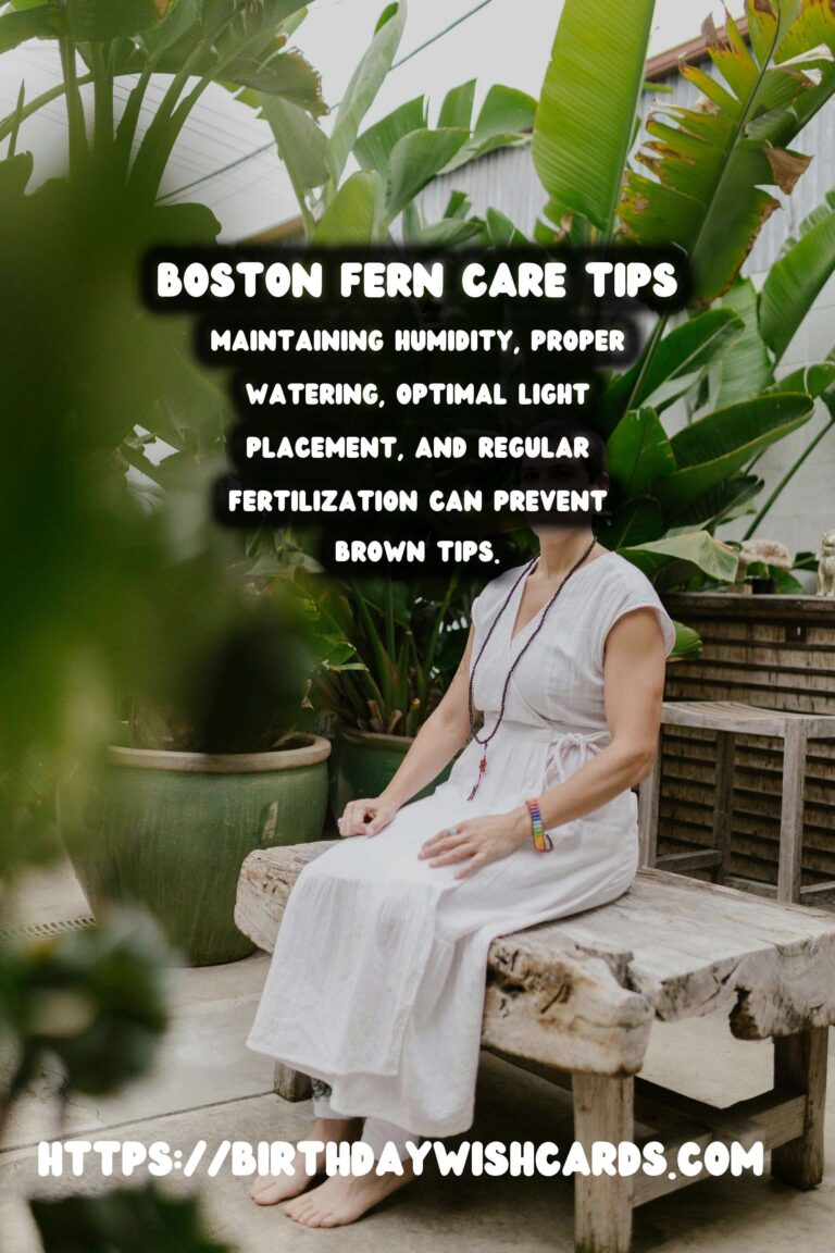 Easy Care Guide for Boston Ferns: Prevent and Treat Brown Tips
