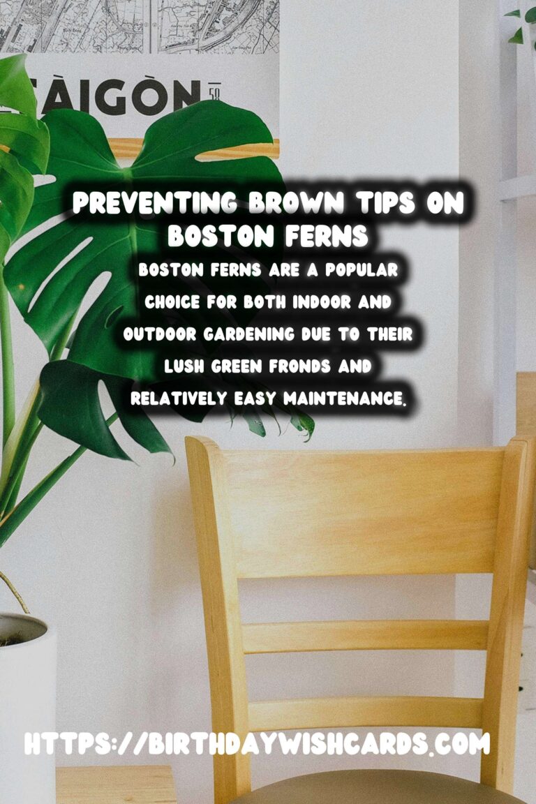 Easy Care Guide for Boston Ferns: Preventing and Treating Brown Tips