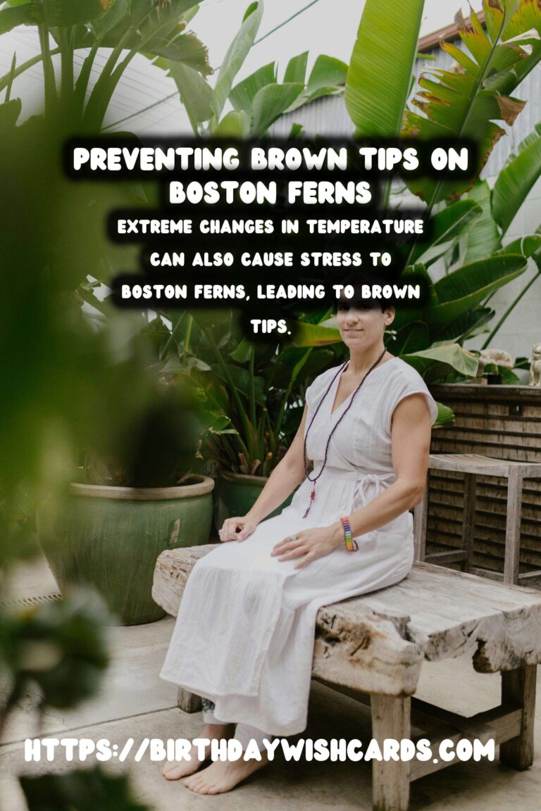 Easy Care Guide for Boston Ferns: Preventing and Treating Brown Tips