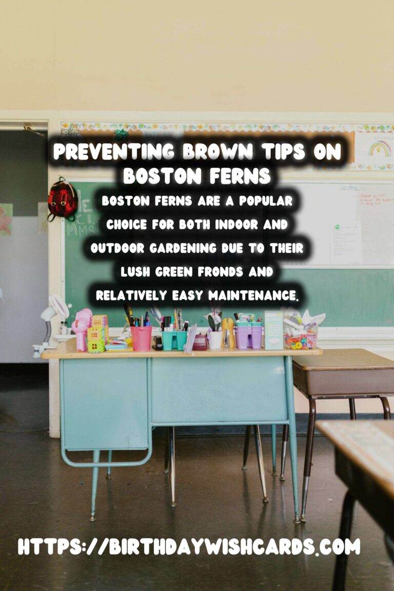 Easy Care Guide for Boston Ferns: Preventing and Treating Brown Tips