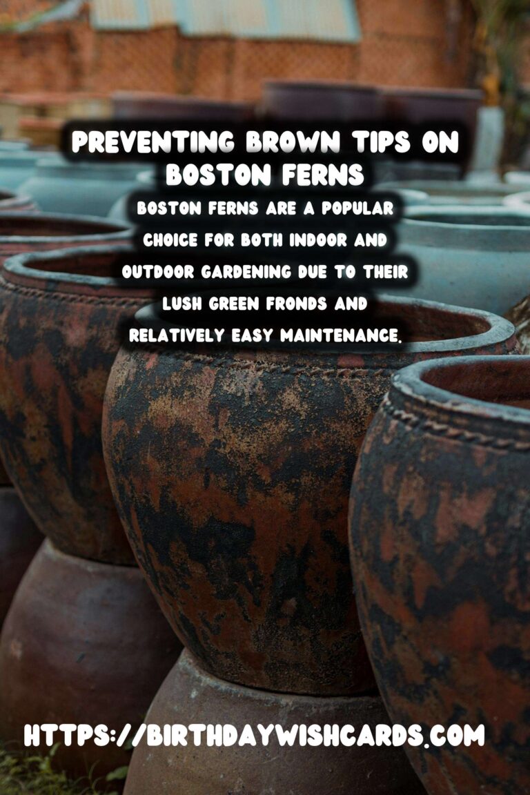 Easy Care Guide for Boston Ferns: Preventing and Treating Brown Tips
