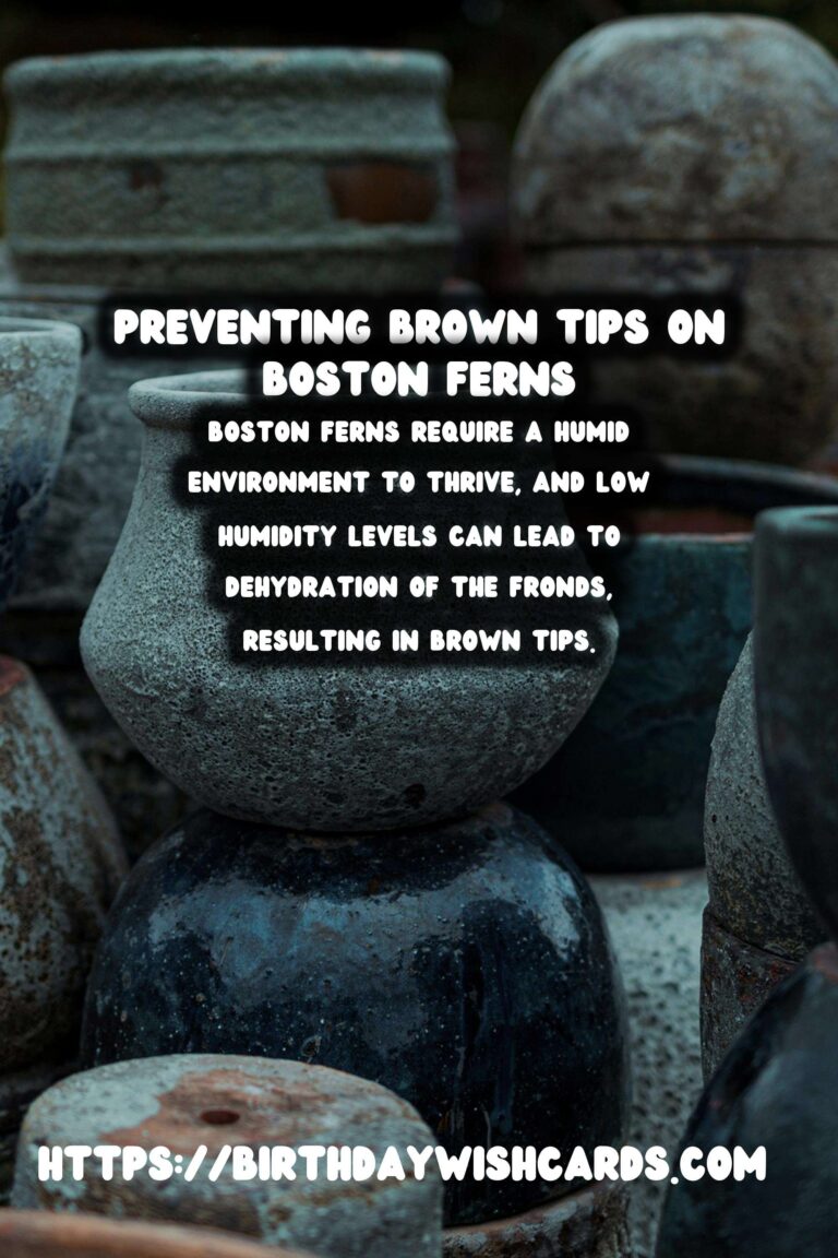 Easy Care Guide for Boston Ferns: Preventing and Treating Brown Tips