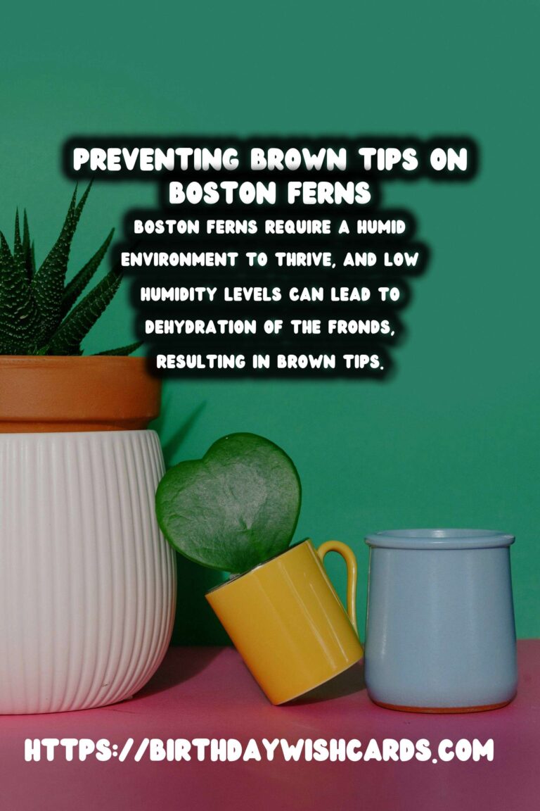 Easy Care Guide for Boston Ferns: Preventing and Treating Brown Tips