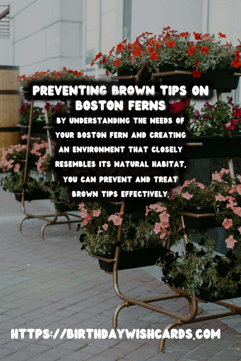 Easy Care Guide for Boston Ferns: Preventing and Treating Brown Tips