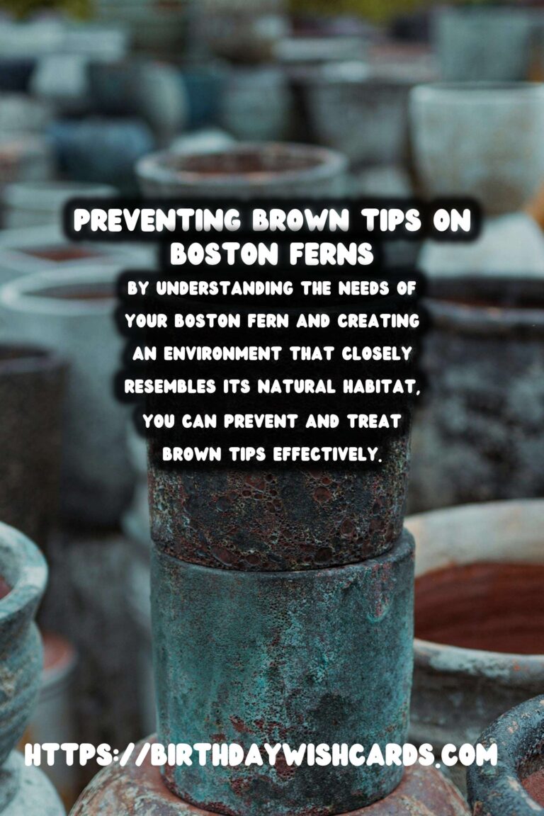 Easy Care Guide for Boston Ferns: Preventing and Treating Brown Tips