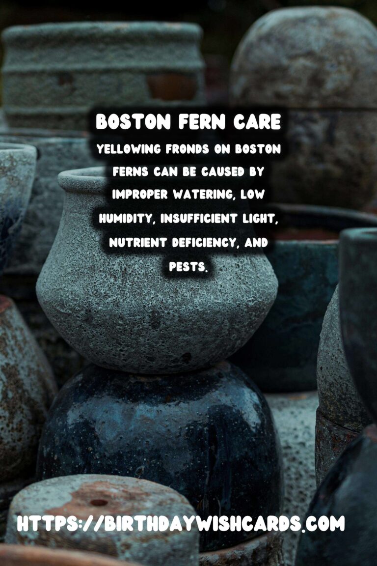 Easy Care Guide for Boston Ferns: Understanding Yellowing Fronds