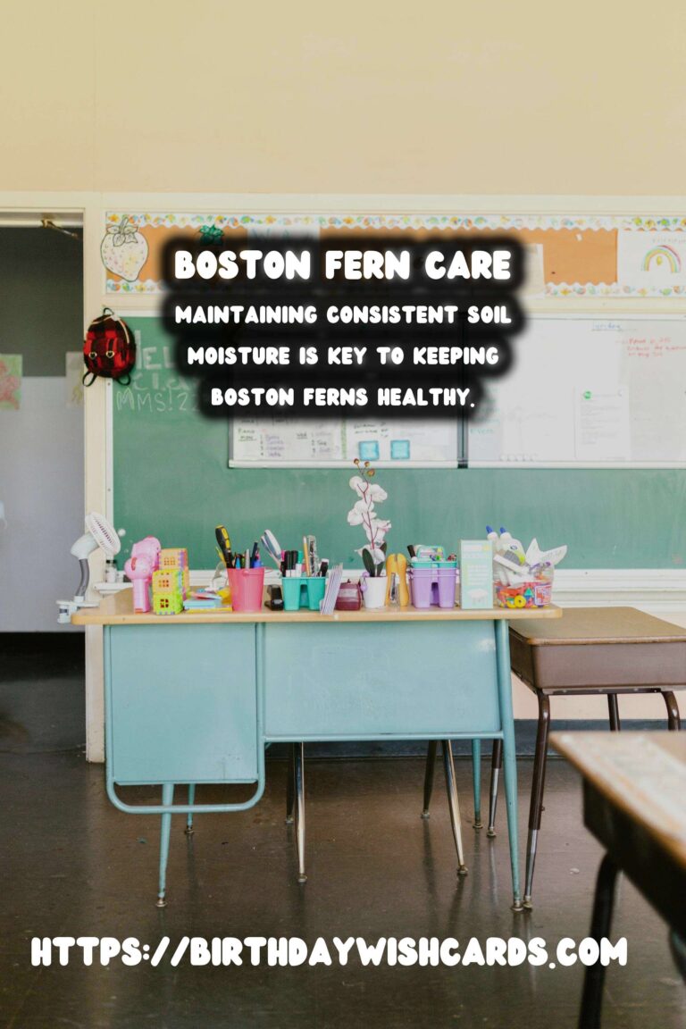 Easy Care Guide for Boston Ferns: Watering Schedule