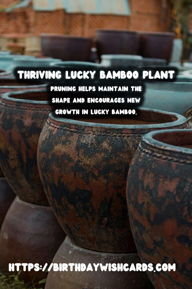 Easy Care Guide for Lucky Bamboo: Tips for Thriving Indoor Plants