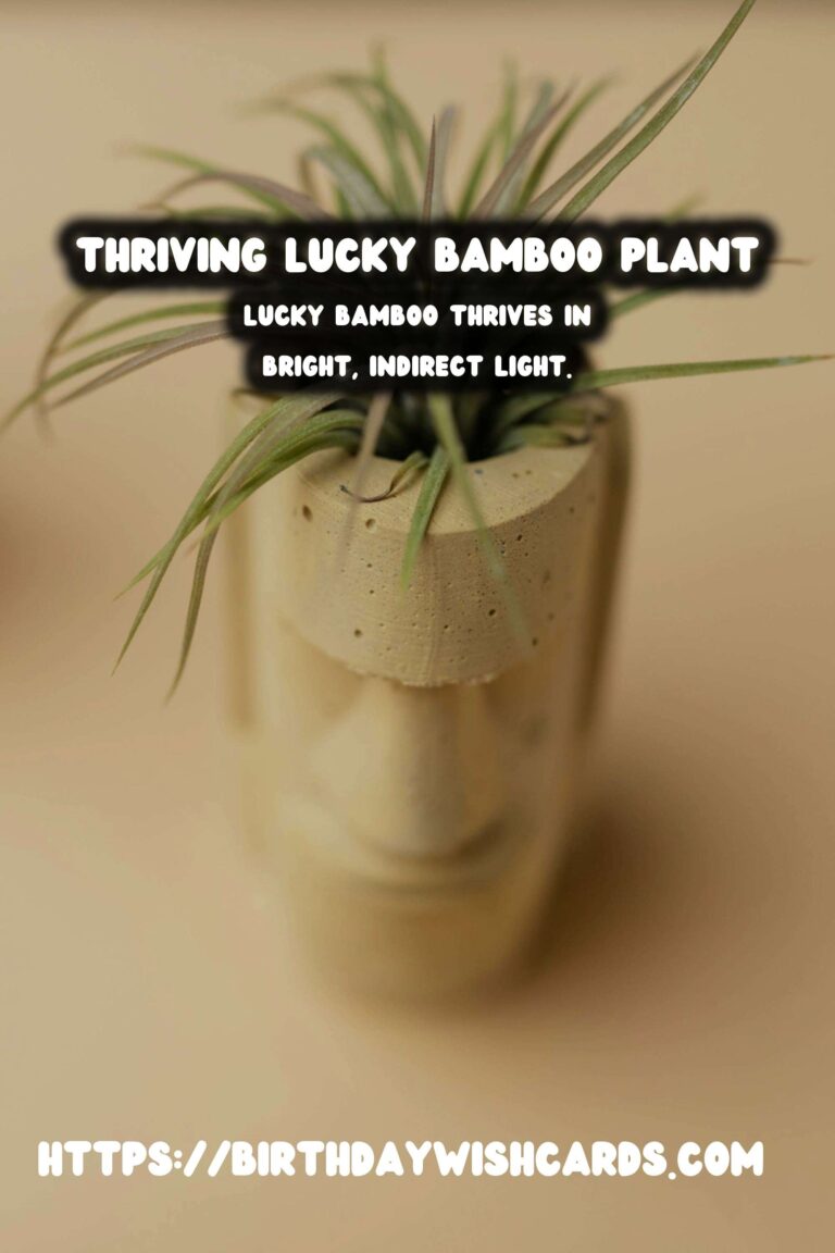 Easy Care Guide for Lucky Bamboo: Tips for Thriving Indoor Plants