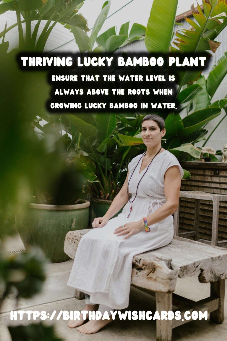 Easy Care Guide for Lucky Bamboo: Tips for Thriving Indoor Plants