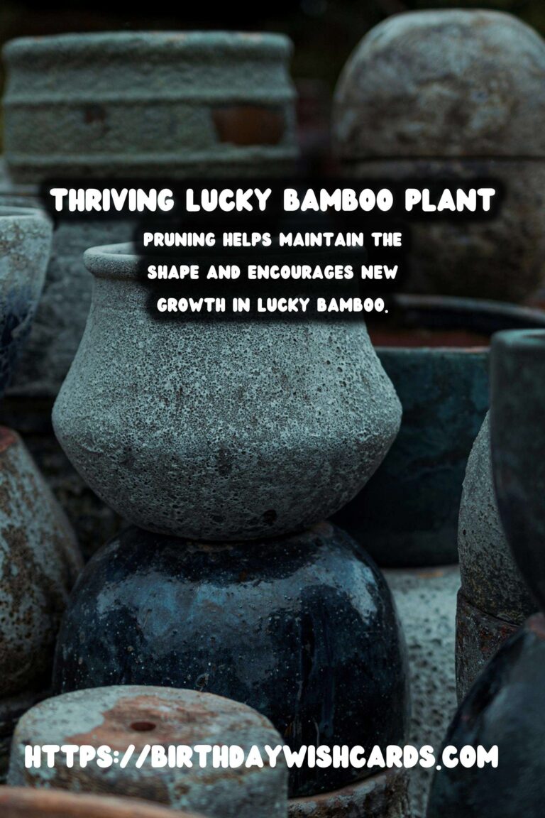 Easy Care Guide for Lucky Bamboo: Tips for Thriving Indoor Plants