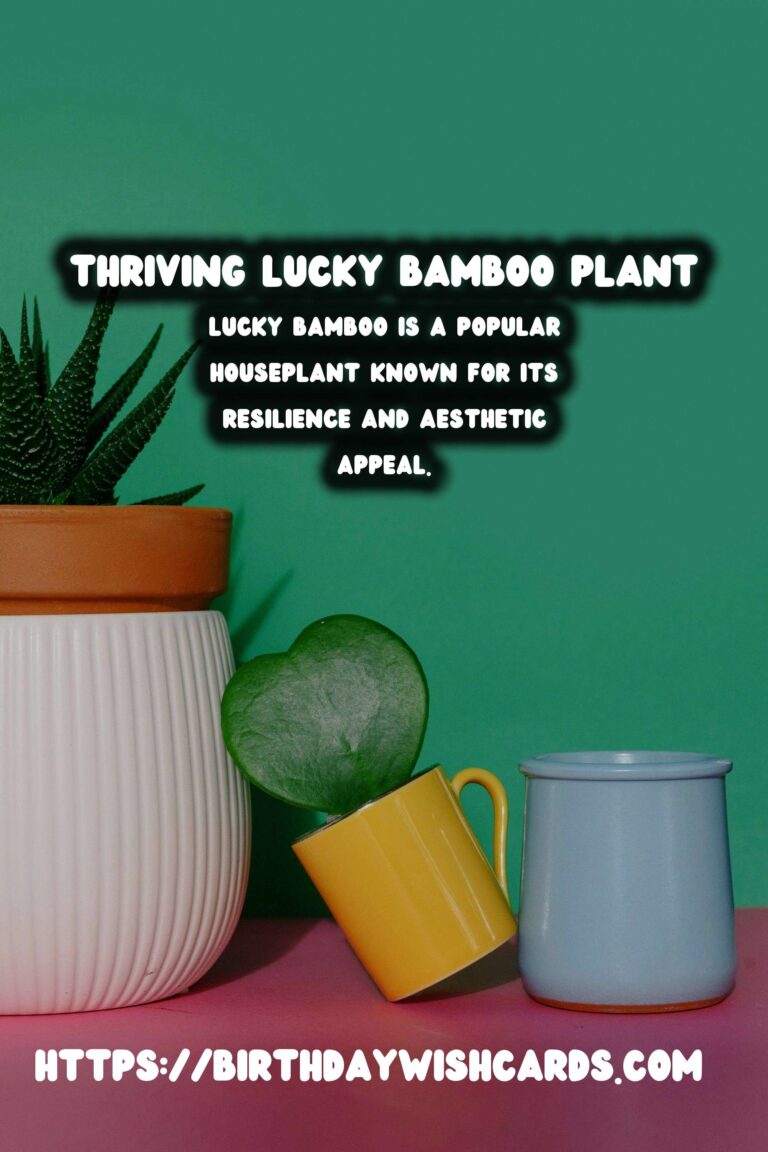 Easy Care Guide for Lucky Bamboo: Tips for Thriving Indoor Plants