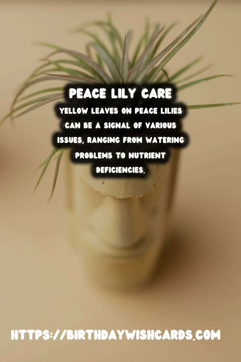 Easy Care Guide for Peace Lilies: Yellow Leaves