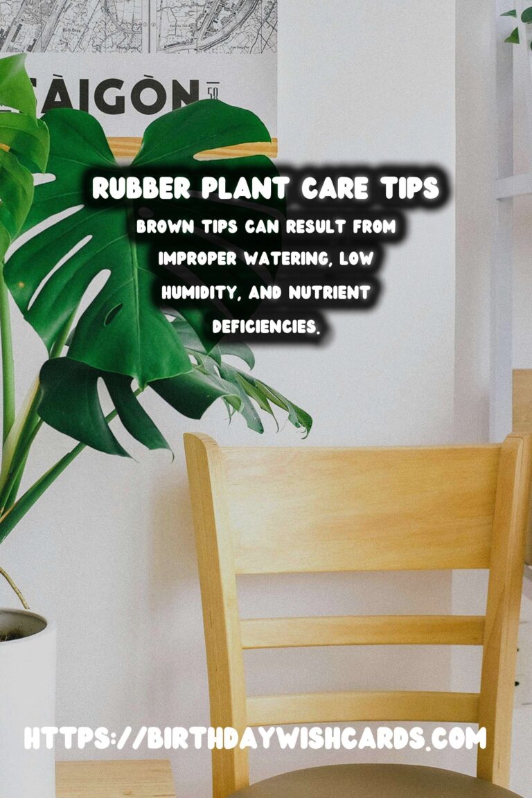 Easy Care Guide for Rubber Plants: Addressing Brown Tips