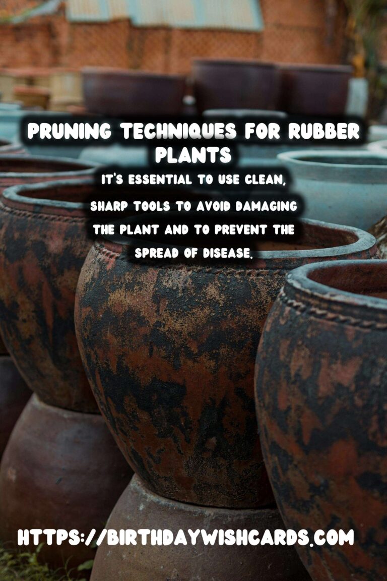 Easy Care Guide for Rubber Plants: Pruning Techniques and Tips