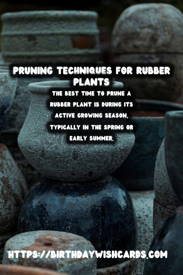 Easy Care Guide for Rubber Plants: Pruning Techniques and Tips