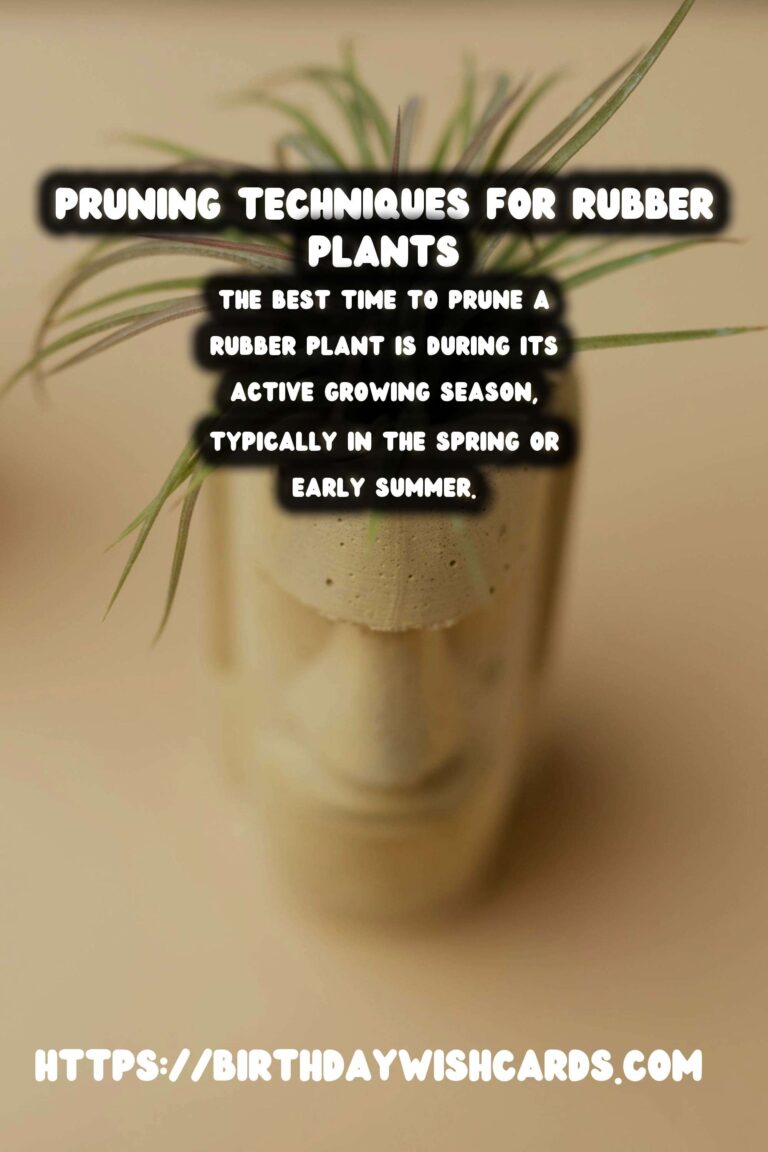Easy Care Guide for Rubber Plants: Pruning Techniques and Tips