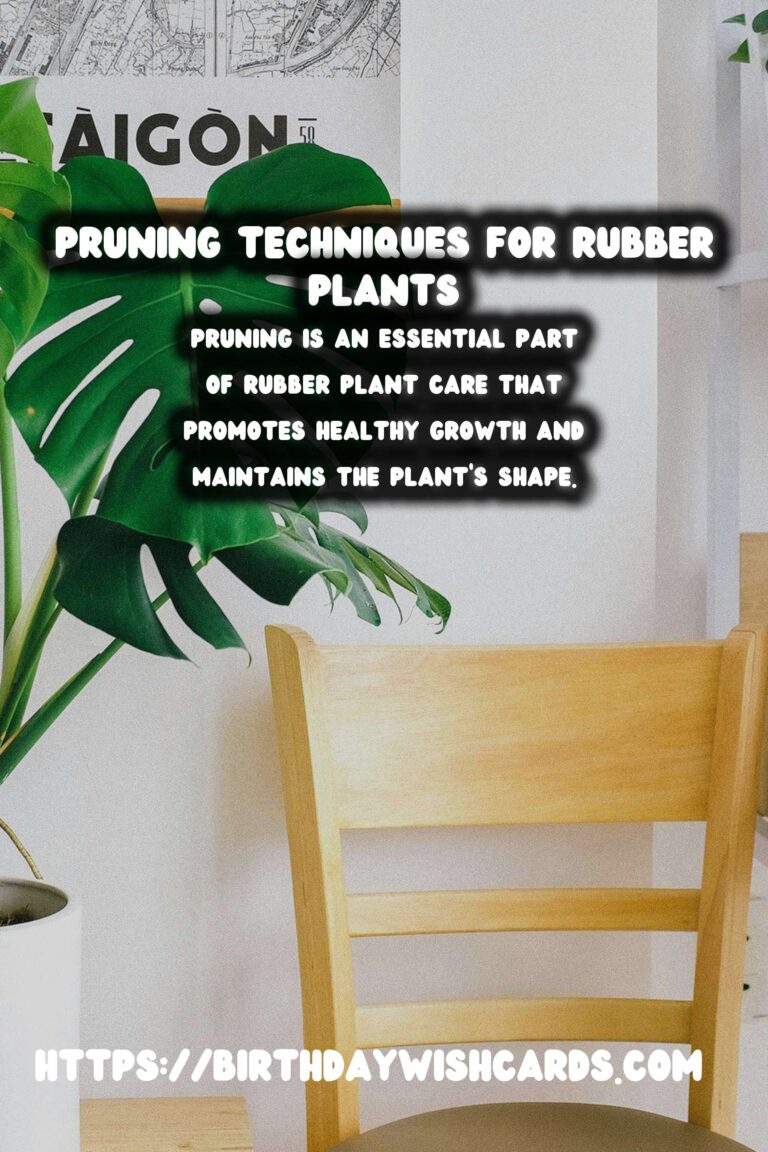 Easy Care Guide for Rubber Plants: Pruning Techniques and Tips