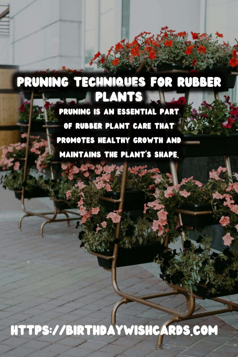 Easy Care Guide for Rubber Plants: Pruning Techniques and Tips