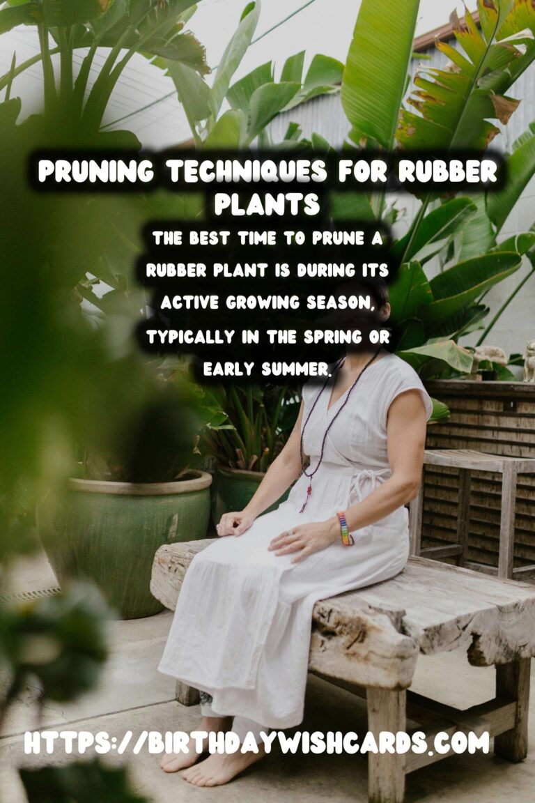 Easy Care Guide for Rubber Plants: Pruning Techniques and Tips